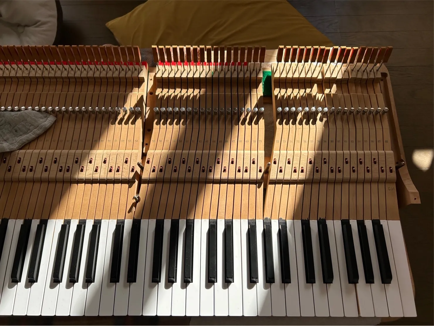 小嶋葵 ピアノ伴奏 ピアノの中身